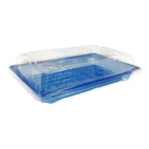 Small Sushi Rectangular Tray Combo with Lid